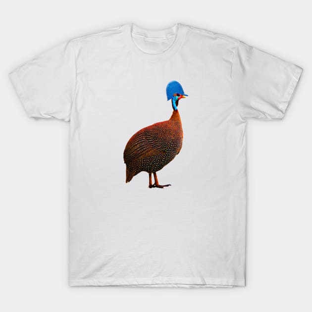 Helmeted Guineafowl T-Shirt by Dominyknax